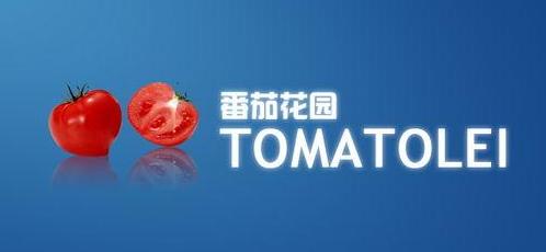 番茄花园作者洪磊一审被判三年半罚款100万元