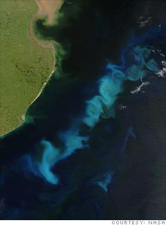 八大拯救发烧地球怪招:太空飞盘反射阳光
