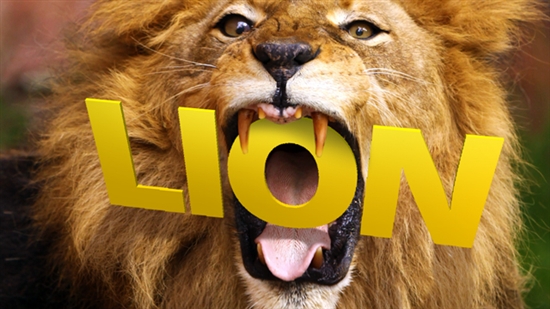 Mac OS X Lionָ