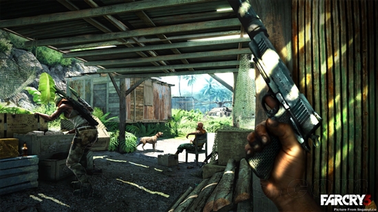 育碧公布《孤岛惊魂3》数张全新游戏截图