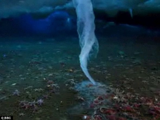 堪比科幻片：南极死亡冰柱沉入海底奇景