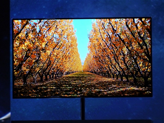 三星、LG 55英寸超薄OLED电视体验图赏