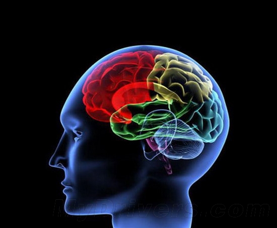 中科院最新研究表明过度上网可致脑损伤