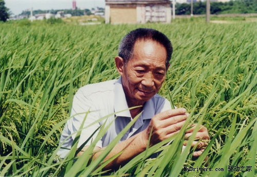 袁隆平：2020年前杂交水稻亩产1000公斤