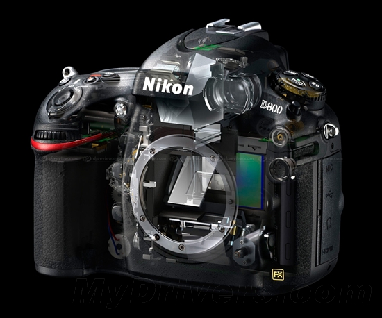 尼康D800/D800E登场：3600万像素创新高