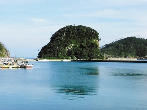 日本深海鱼浮出水面 引发大地震担忧