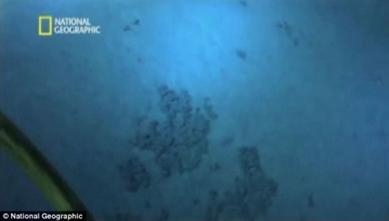 卡梅隆深海拍摄录像公布
