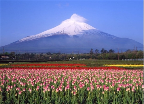 日本富士山正下方活断层可能引发巨大山崩