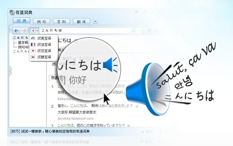 支持ie9屏幕取词 有道词典4.1版开测-有道