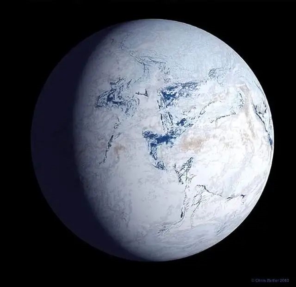 人类为什么能够在进化中胜出:是必然还是偶然?