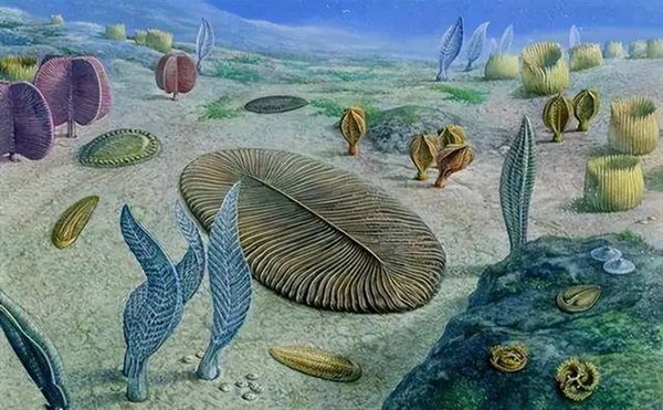 人类为什么能够在进化中胜出:是必然还是偶然?