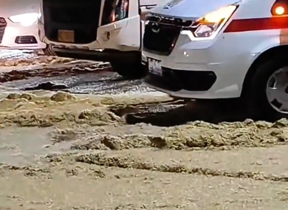 湖南一桥上蜉蝣铺天盖地如下雪:几公分厚、至少上10亿只