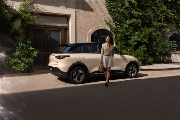 比亚迪海豚新对手 吉利星愿官图发布:Flyme Auto车机加持