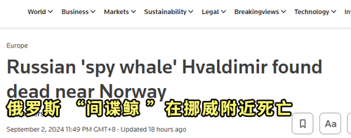 俄罗斯间谍在挪威离奇死亡!竟然是一头白鲸?