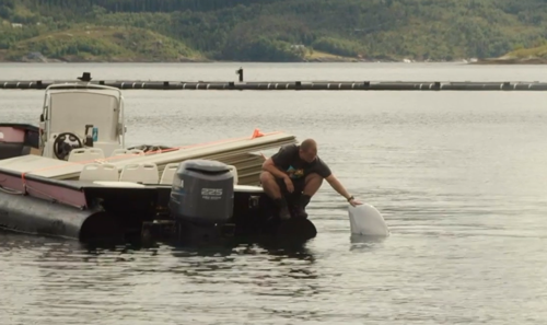 俄罗斯间谍在挪威离奇死亡!竟然是一头白鲸?