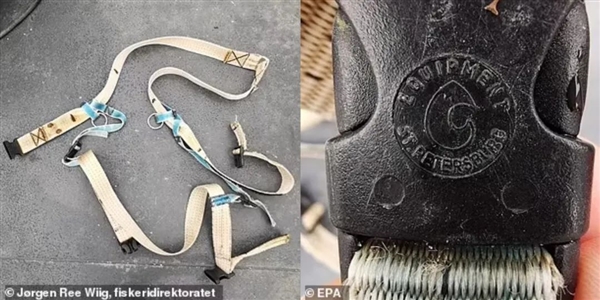 背负间谍之名 最后死在异乡!备受争议的网红白鲸在挪威神秘死亡