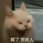 被黄蜂群蜇了240次都没死!这老哥要进化成黄蜂侠了