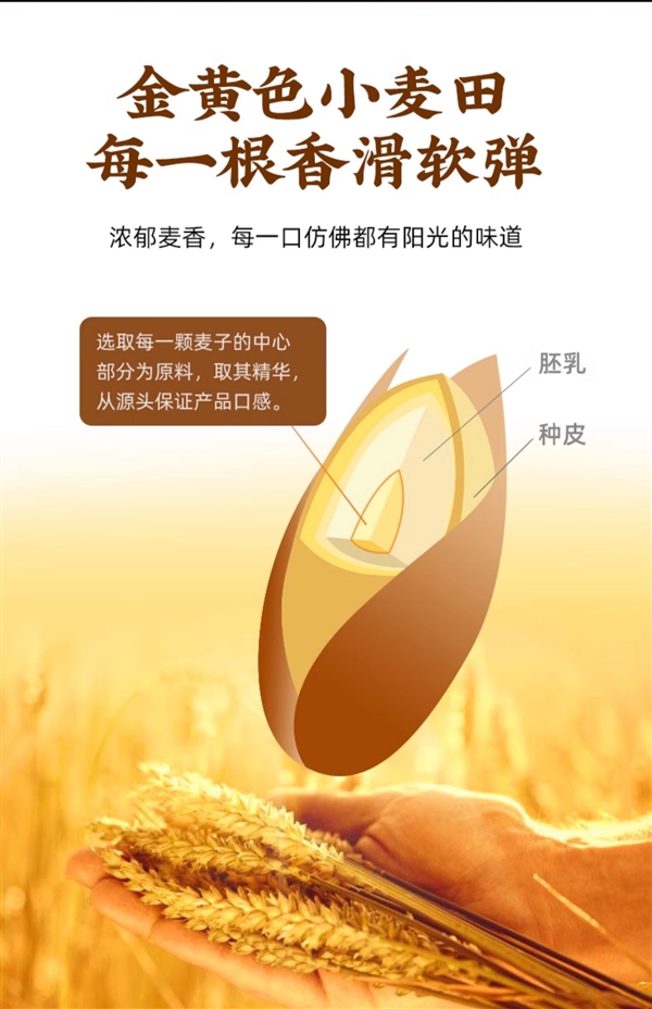 非油炸面饼:五谷道场方便面10袋26.9元抄底(不到半价)