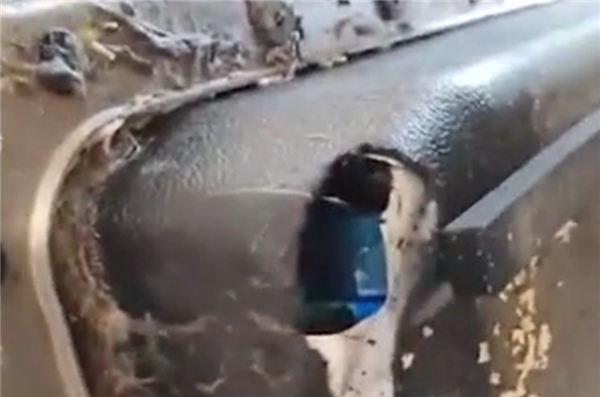 老鼠咬坏新能源车电池箱不保修:外界造成、维修需花8万多