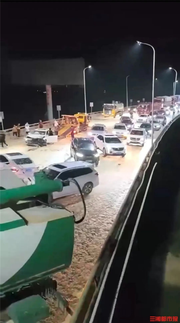 15厘米厚的虫子布满道路惨死车轮下:而这竟是环境变好的征兆