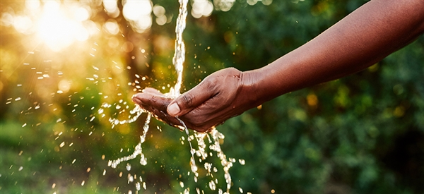 男子餐后点白开水饭店要收10元:当事人无法理解