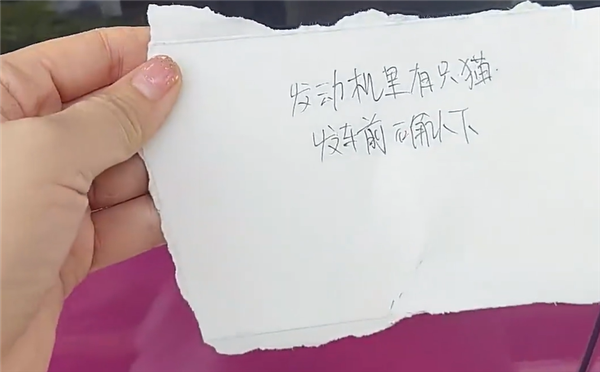 小猫卡车里保时捷车主果断拆车救猫 网友:怪不得能开保时捷