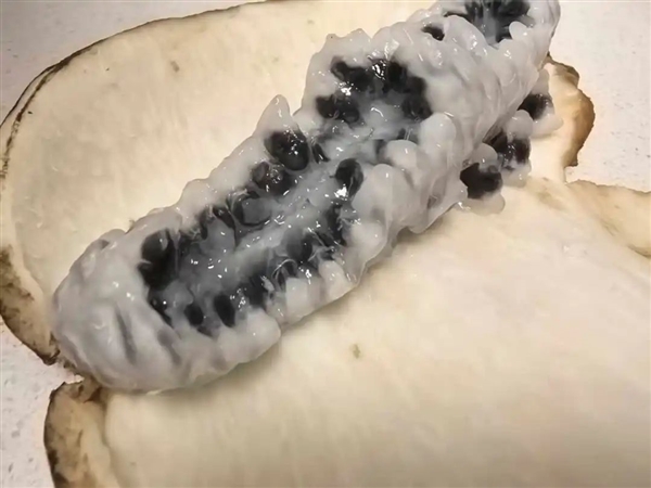 八月瓜上市!通便、维生素C含量高:很多人可能第一次见