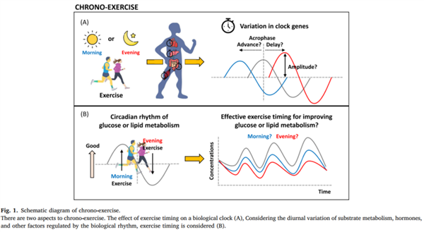 熬夜后 千万别再做这件事!严重可能丧命