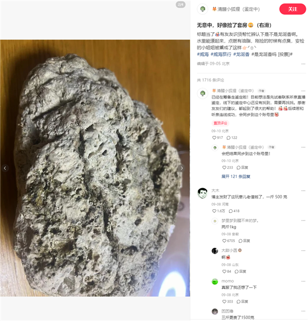 游客称捡到价值800万龙涎香 业内人士发声:很像、需鉴定