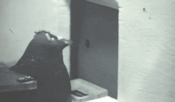 靠研究用肛门呼吸 赚了10万亿奖金