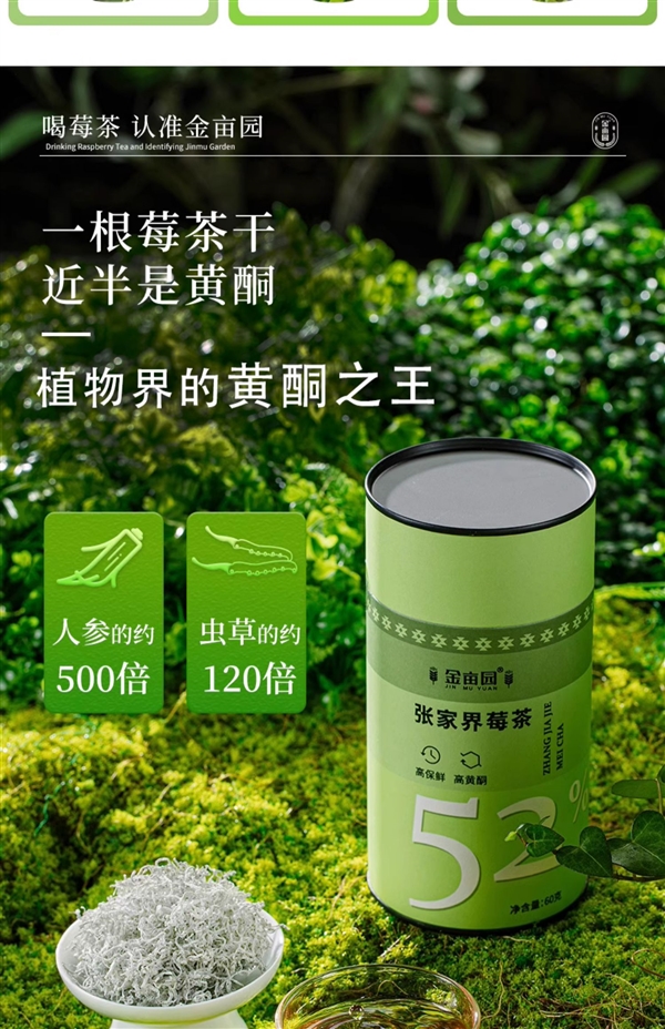 入口微苦 持久回甘:张家界芽尖莓茶60克38元尝鲜冲量