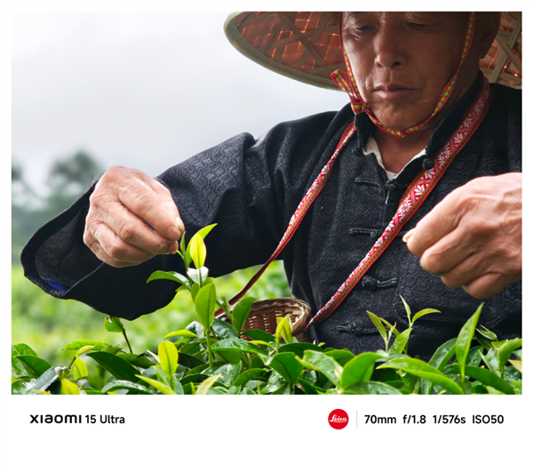 小米认领帮扶150亩贵州茶园!今天起在全国送10万份:小米之家免费领