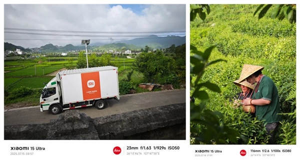 小米认领帮扶150亩贵州茶园!今天起在全国送10万份:小米之家免费领