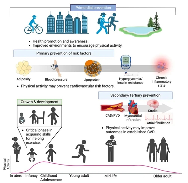 如何运动对健康益处最大 最新研究的答案是……