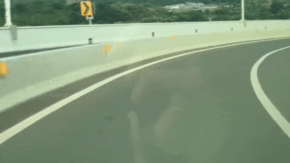 男子喜提新车第二天特意尝鲜辅助驾驶 结果撞上高速护栏