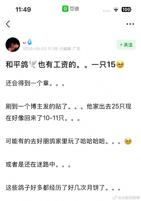 观礼结束后好心人救起落水和平鸽 腿上绑有数字编号  网友:“饼鸽鸽”有工资