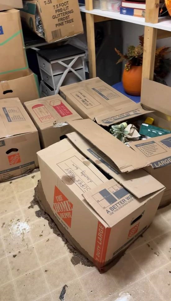 “屎漫金山”!宝可梦卡牌收藏家因水管爆裂痛失数千美元