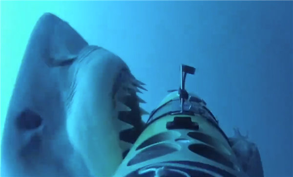 美国“光鱼”无人水面艇遭鲨鱼袭击 摄像头拍到惊悚一幕