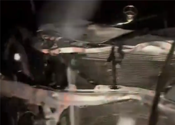 雪天路滑一轿车与黑熊相撞 交警回应：野生动物不受控制不会受罚