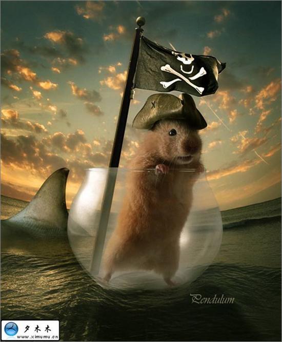 Photoshop合成仓鼠海盗漂洋过海的场景