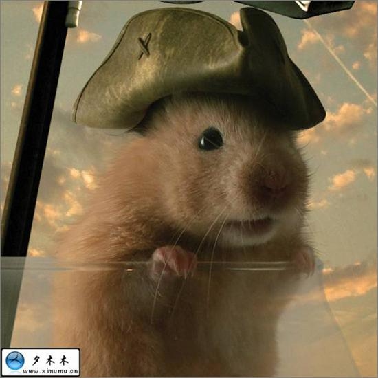 Photoshop合成仓鼠海盗漂洋过海的场景