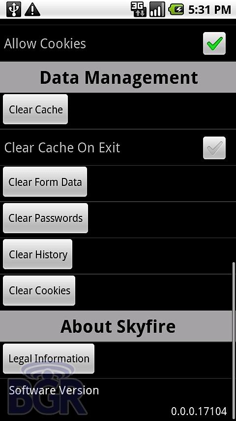 Android版Skyfire浏览器测试版截图预览