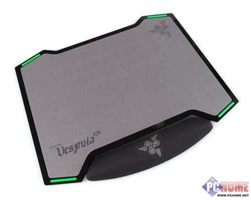 双面神蜂 Razer Vespula黄斑胡蜂详测