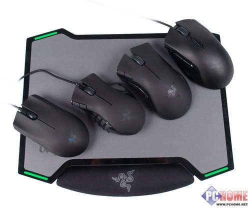 双面神蜂 Razer Vespula黄斑胡蜂详测