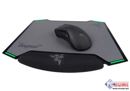 双面神蜂 Razer Vespula黄斑胡蜂详测