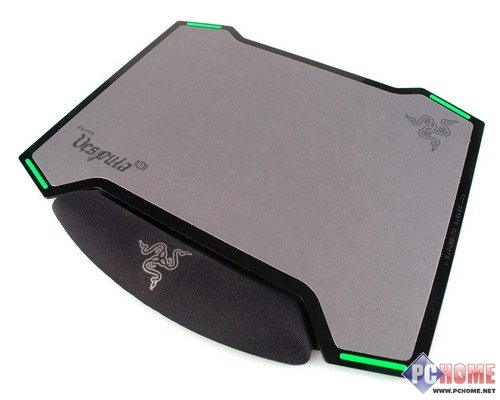 双面神蜂 Razer Vespula黄斑胡蜂详测