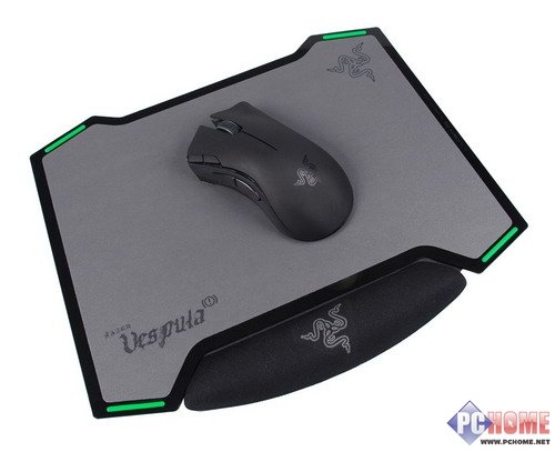 双面神蜂 Razer Vespula黄斑胡蜂详测