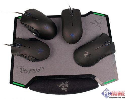 双面神蜂 Razer Vespula黄斑胡蜂详测