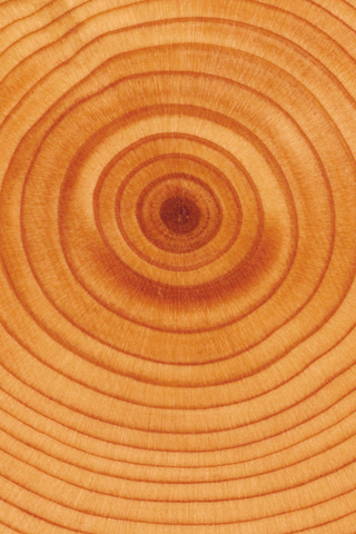 iPhone OS 4 Beta4新壁纸包下载