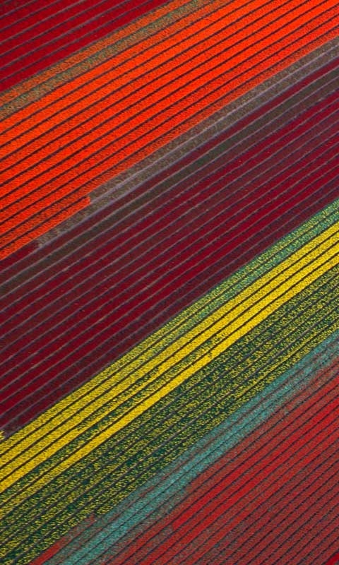 下载:提取版Windows Phone 7铃声、壁纸